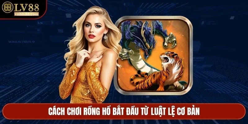 Cách chơi Rồng Hổ bắt đầu từ luật lệ cơ bản