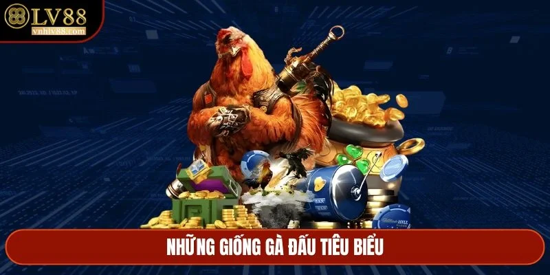 Những giống gà đấu tiêu biểu