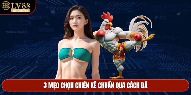 3 mẹo chọn chiến kê chuẩn qua cách đá